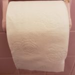 Presto! Mega Roll Toilet Paper, Ultra-Soft, 6 Count (Pack of 4), 24 Family Mega Rolls = 120 regular rolls