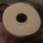 Presto! Mega Roll Toilet Paper, Ultra-Soft, 6 Count (Pack of 4), 24 Family Mega Rolls = 120 regular rolls