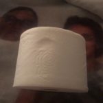 Presto! Mega Roll Toilet Paper, Ultra-Soft, 6 Count (Pack of 4), 24 Family Mega Rolls = 120 regular rolls